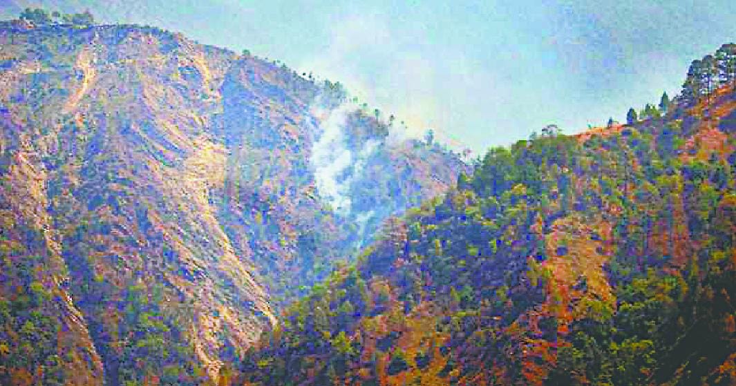 Colony establish in forest dept land