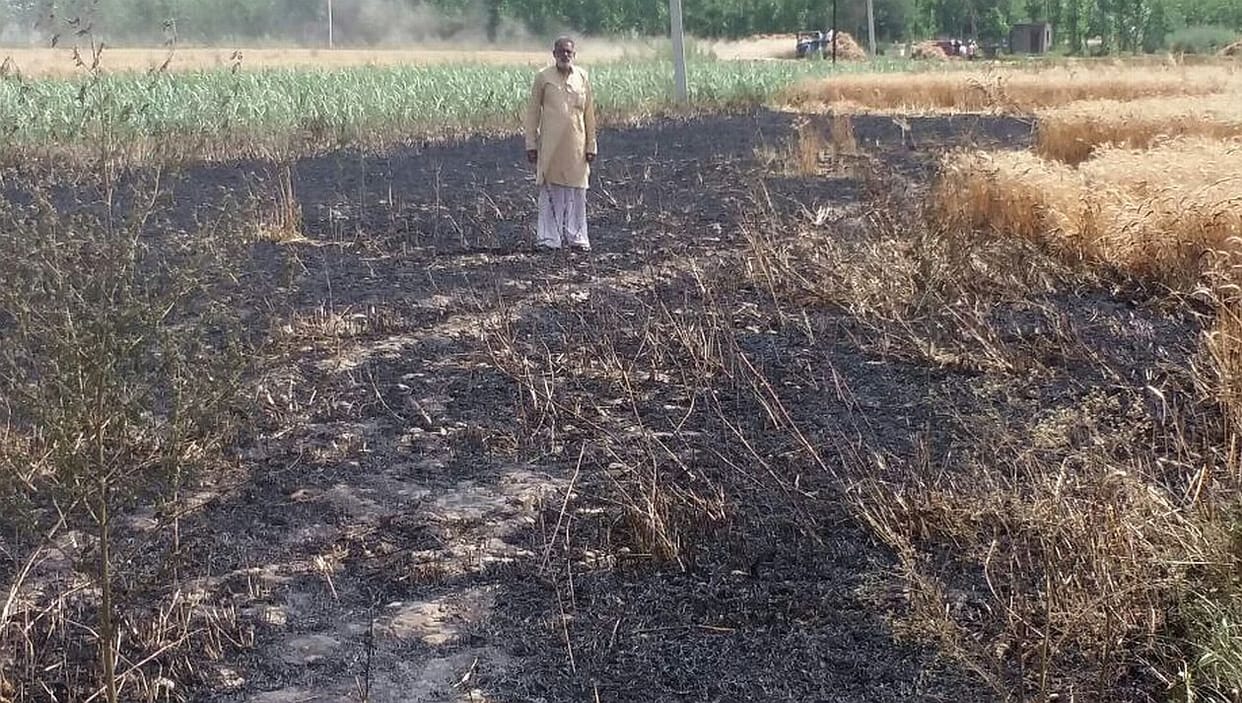 The fire burned 11 acres of crop.