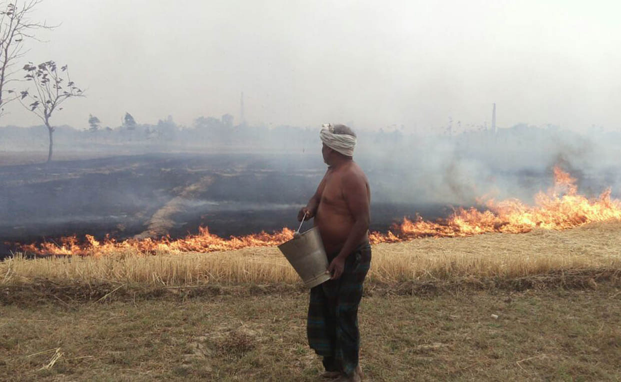 Fire population of stem entered