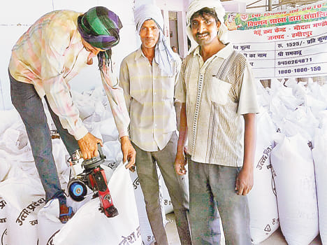 pcf wheat purcjasing nill in riwan centre