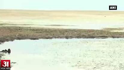 Drought-hit Marathwada heading towards 'desertification', warns expert