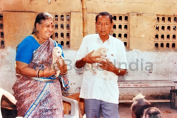 Elderly Couple in Chennai Is Saving Street Animals