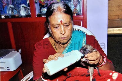 Elderly Couple in Chennai Is Saving Street Animals