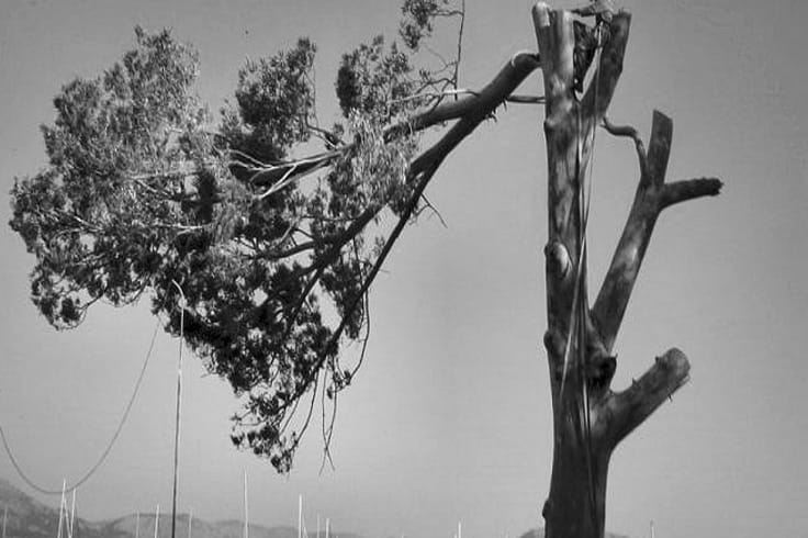 10 inauspicious dream 