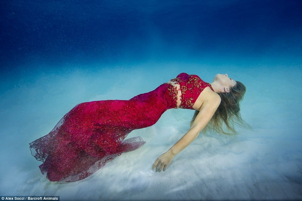 brazilian model shoots with sharks