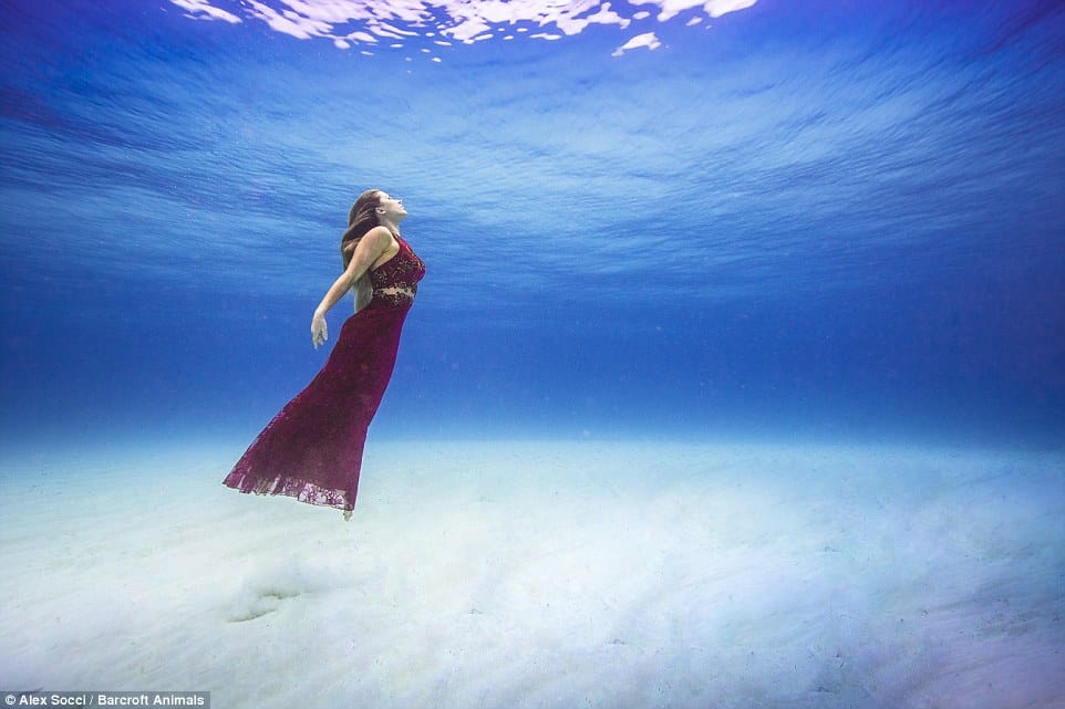 brazilian model shoots with sharks