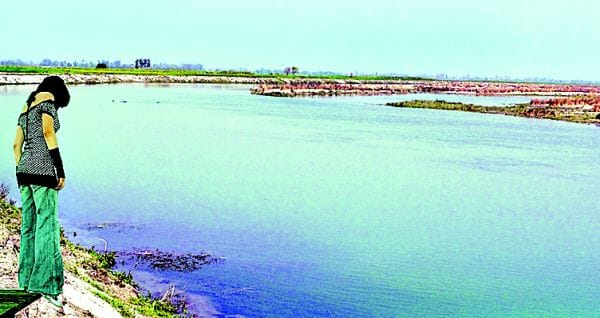 no rubber chek dam at yamuna 