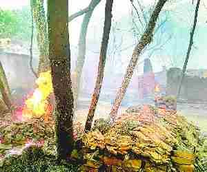 23 houses set on fire.