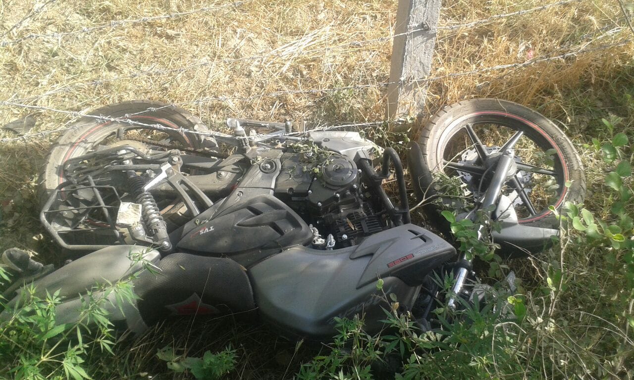 bike collapse with tree three died on the spot