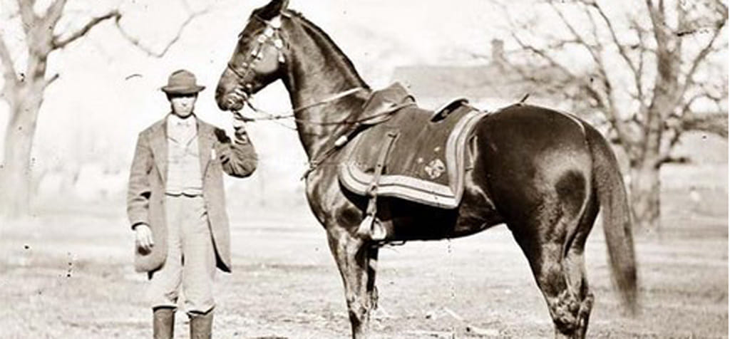 A tribute to Shaktiman, Top 10 Famous War Horses in History
