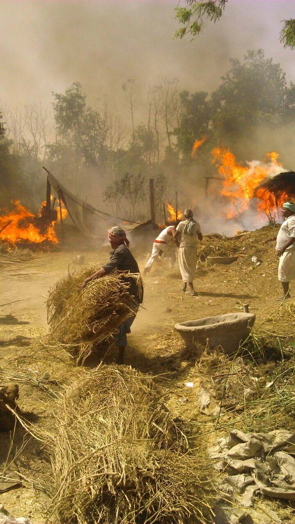 The fire killed three cattle farm