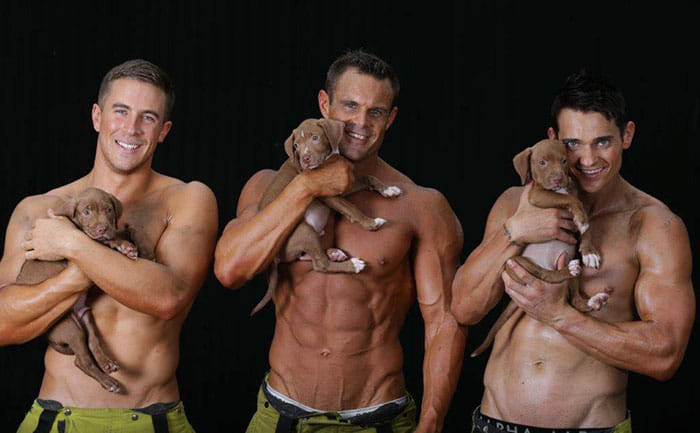 firefighters of australia