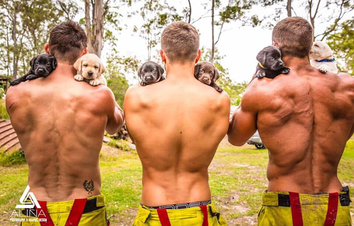 firefighters of australia