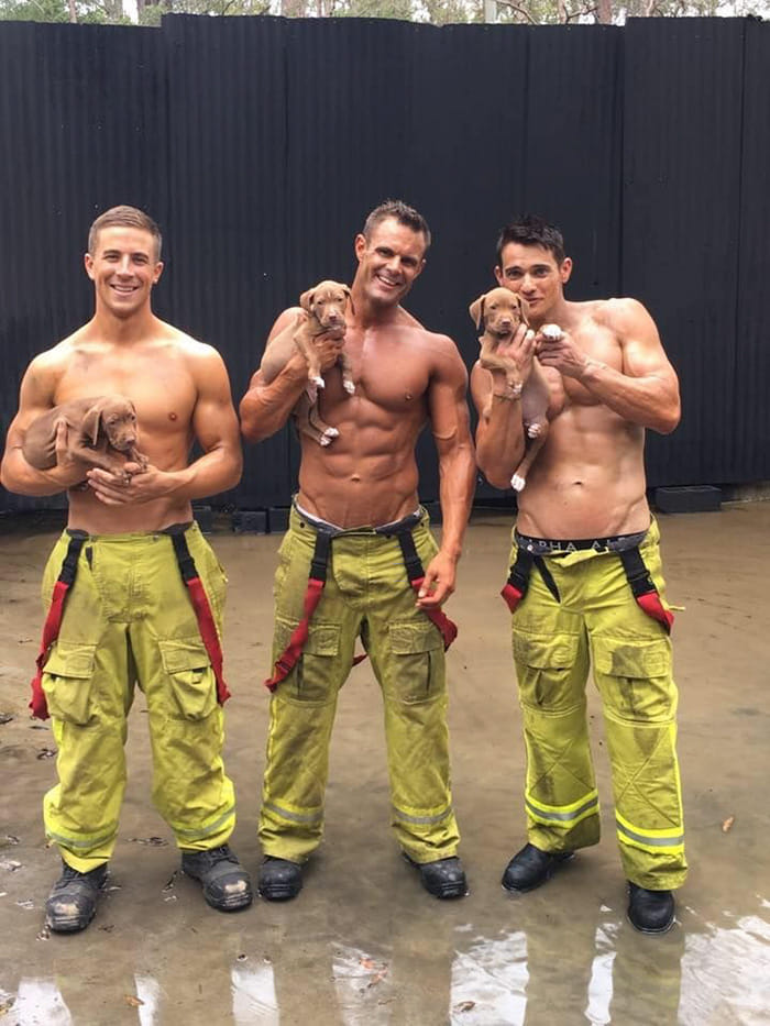 firefighters of australia