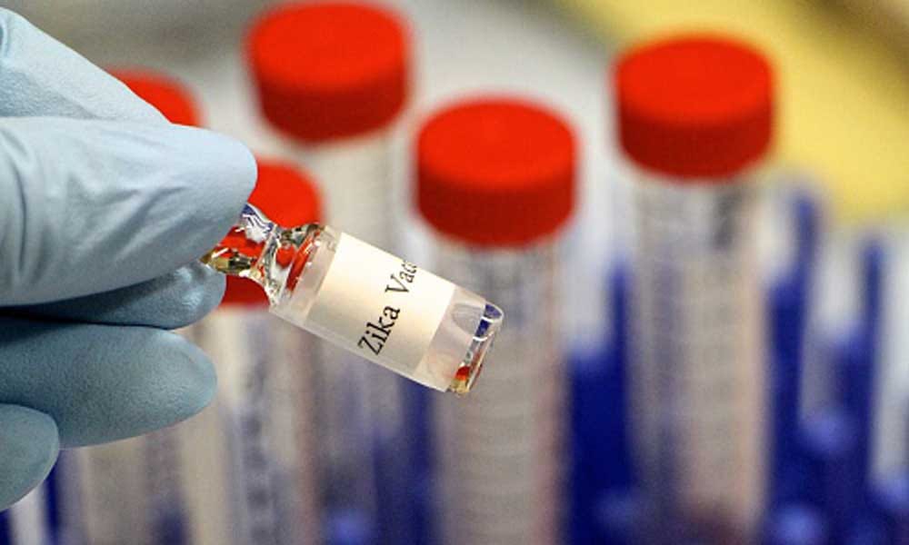 zika virus can be dangerous in coming days