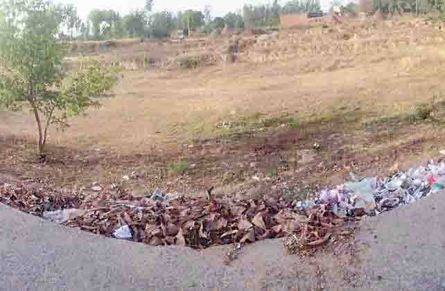 water crisis in amroha, pond were dry