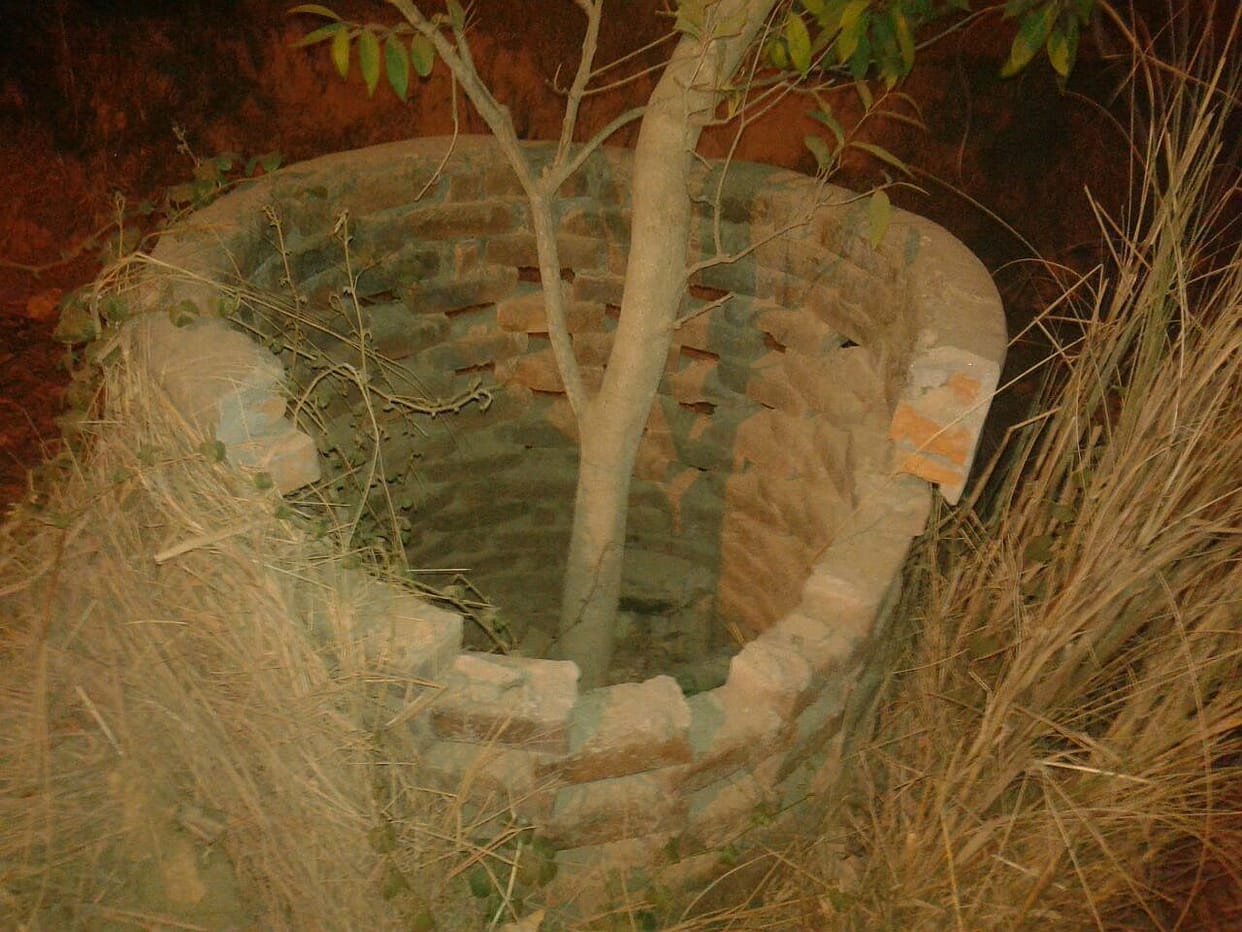 Greenery at only 1.76 per cent of the land in Kanpur