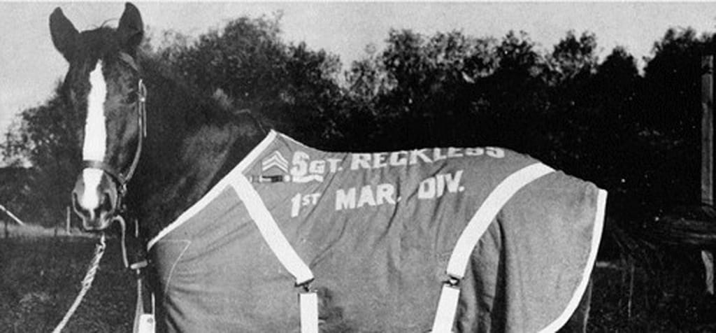 A tribute to Shaktiman, Top 10 Famous War Horses in History
