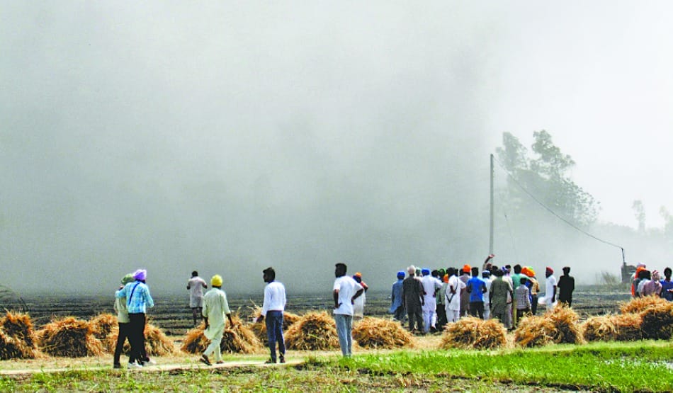 brutal incident: fire on crop of wheat, 4 womens burn in incident in barnala