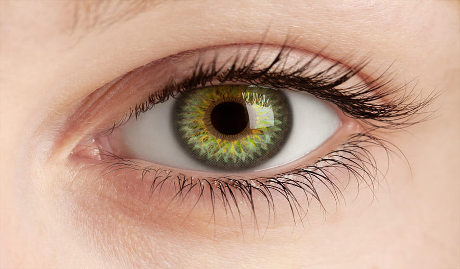 smartphone app that could allow people to screen neurological disease, all you need to know