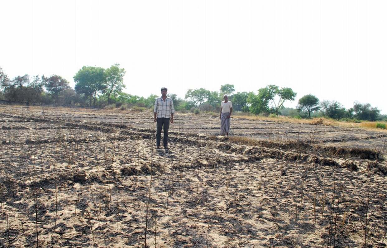 Six acres burned wheat crop