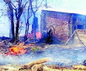 59 home gutted by fire