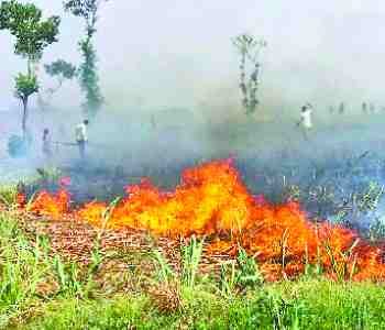 72 houses and five acres of crop burnt 