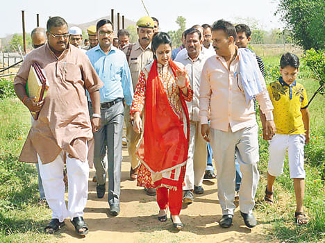 Follow meets employment and cow manure