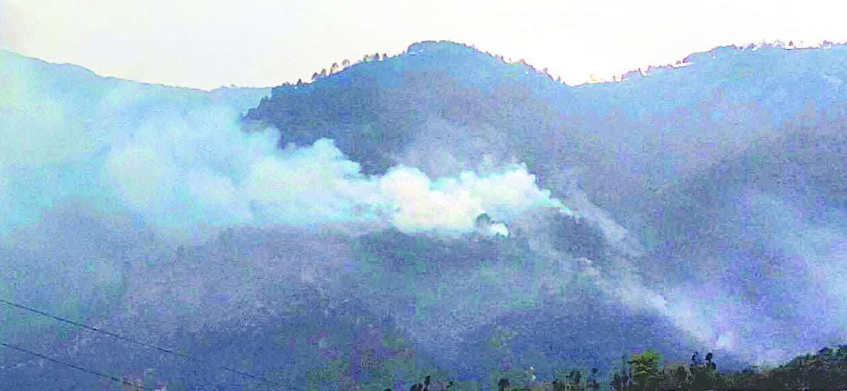 Birthy, Mdlkia, Dafa brings, Kappa forest fire