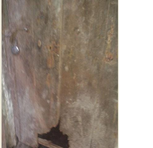 lepord in niyajganj