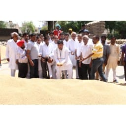 Mandi, Sirsa Mandi, Ashok Tanwar, Ashok Tanwar visit Mandi, Sirsa
