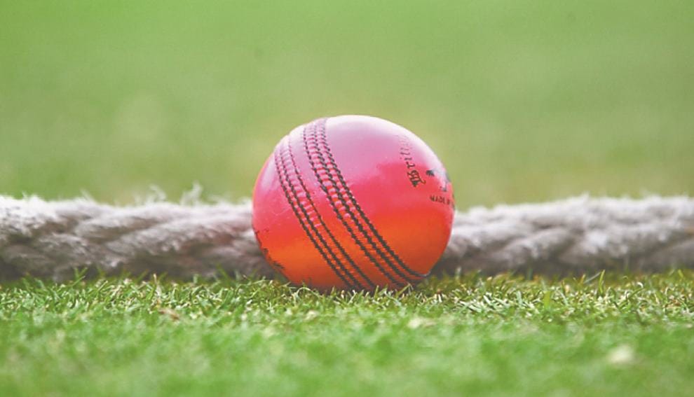 Now Pink Ball Test match will be in india