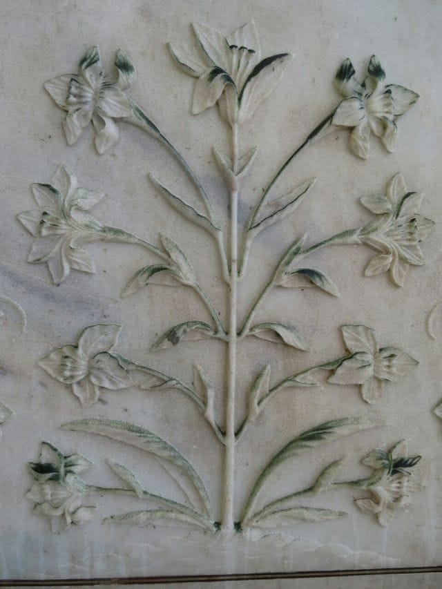  kida on wall of taj