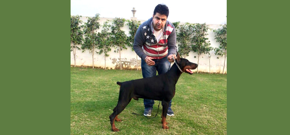 two lakhs Dobermans disappeared, complain in police station
