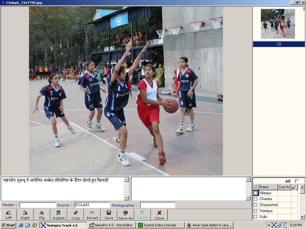 basketball match won pinegrover in solan