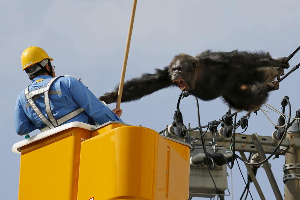best photos of the week, 23 april 2016