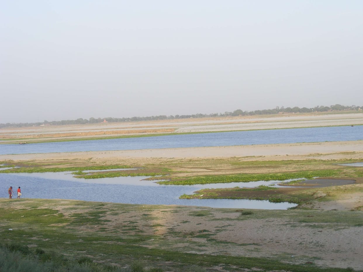 Reduced the area under cultivation, water is low