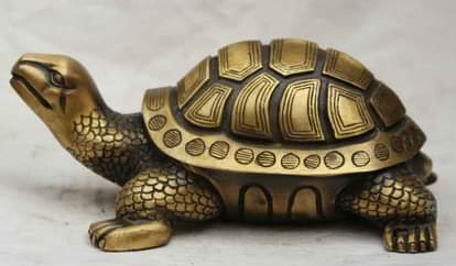 benefits of keeping tortoise at home