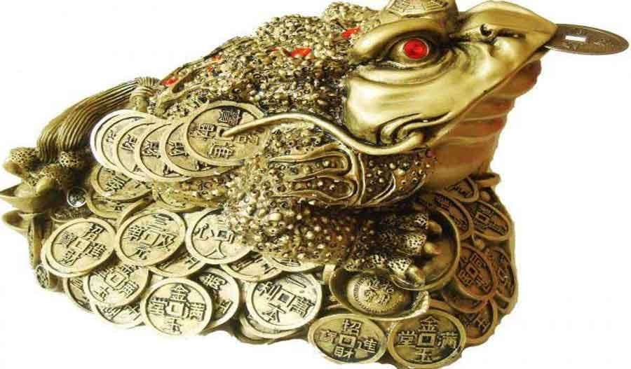vastu feng shui These measures related to turtles bring happiness, prosperity and happiness in life