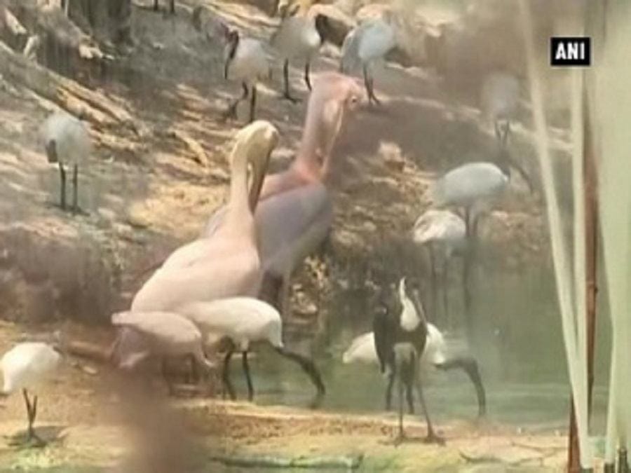 गर्मी