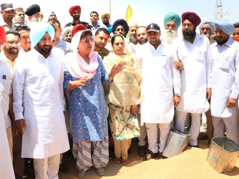 government fell, farmers, grain minister, wheat purchase, Bhattal, Sangrur