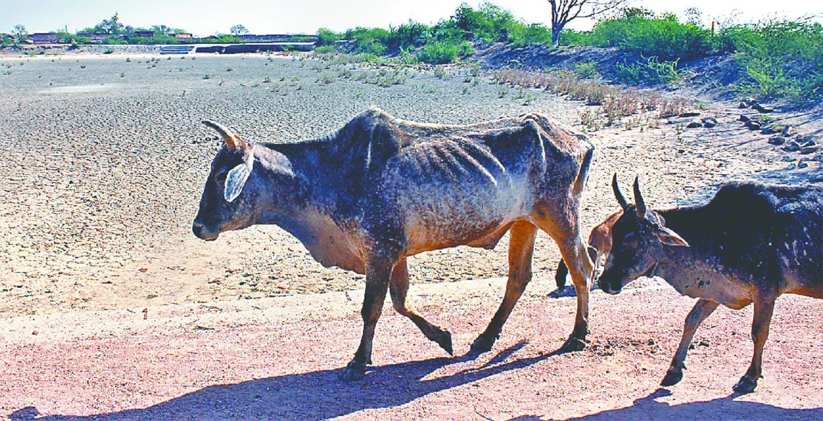 Left took stock of drought