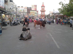 lalitpur administration