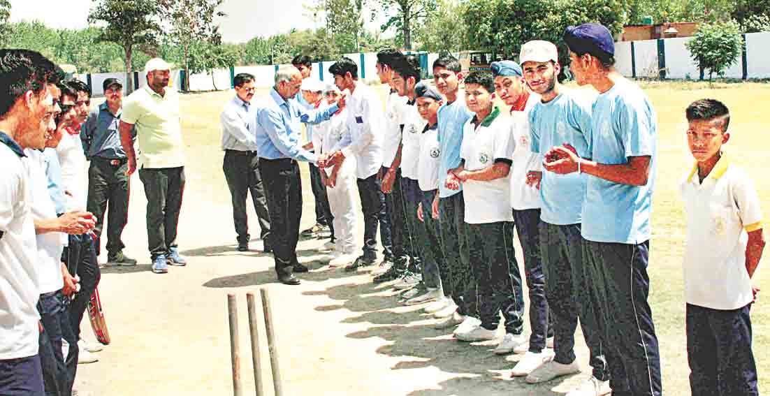 cricket