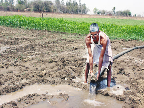 Water's edge in the dry earth , even in dry harvesting