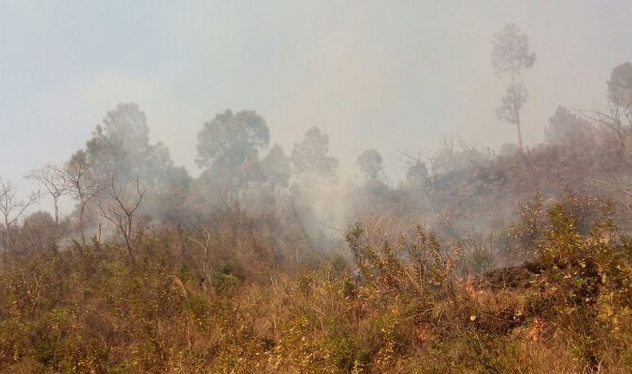 fire Twenty places in Dehradun.