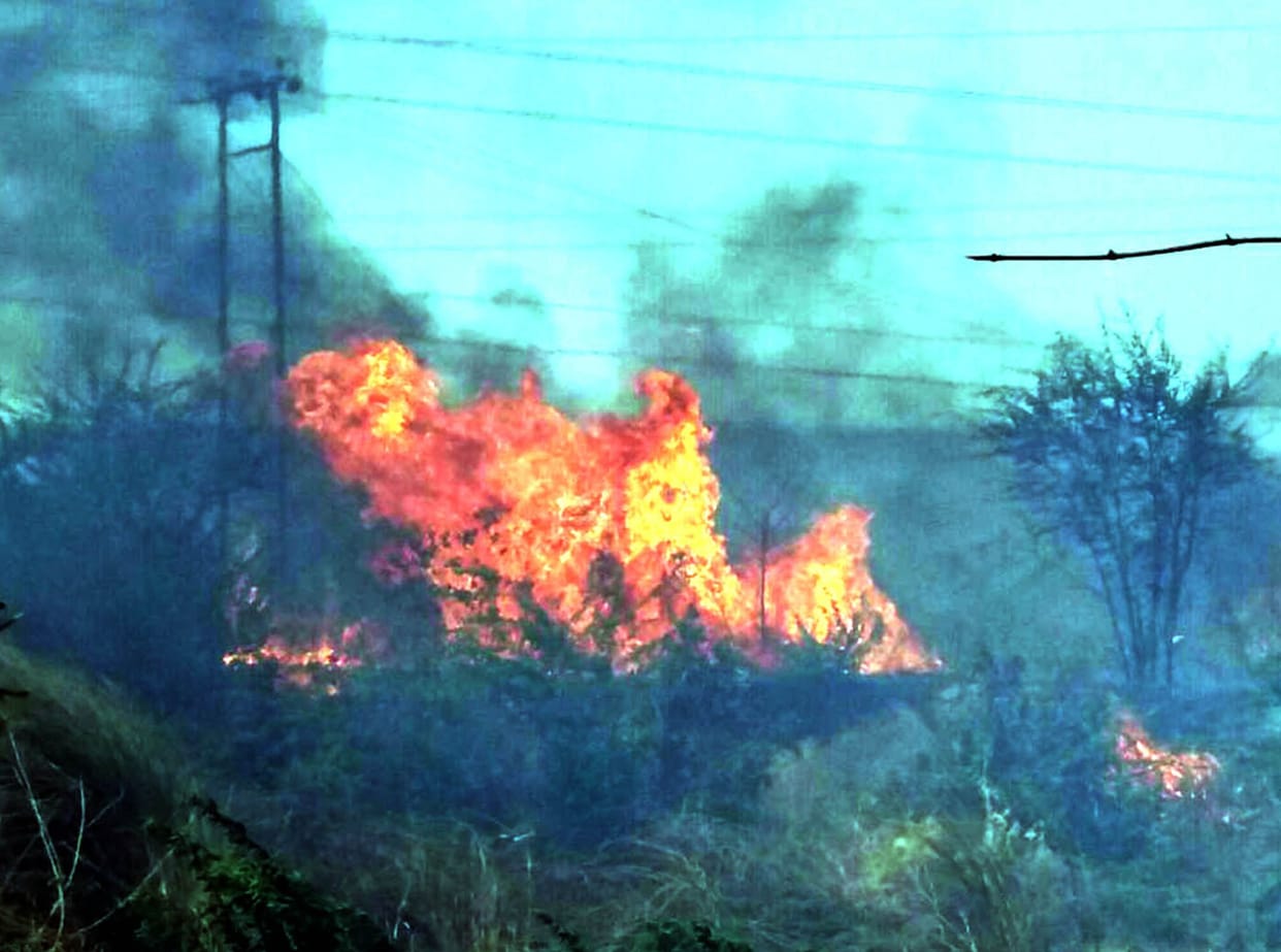 Obra project in the bushes near the fire