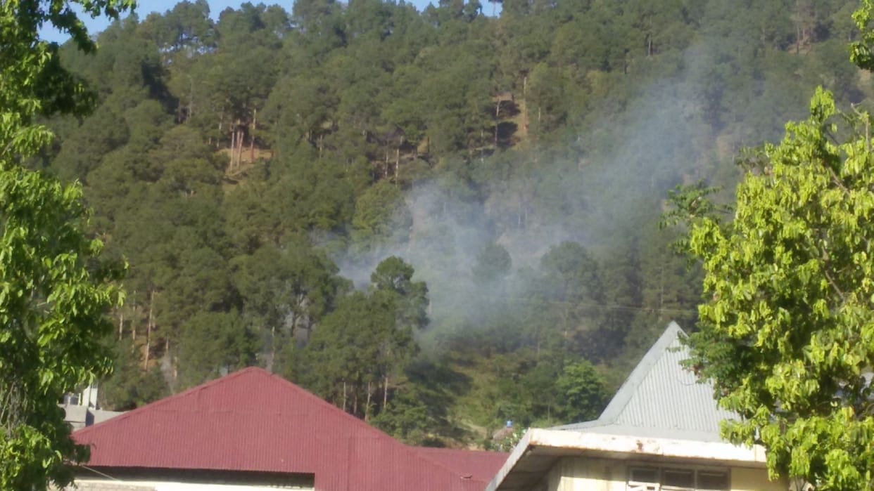 fire in Rajaji National Park.