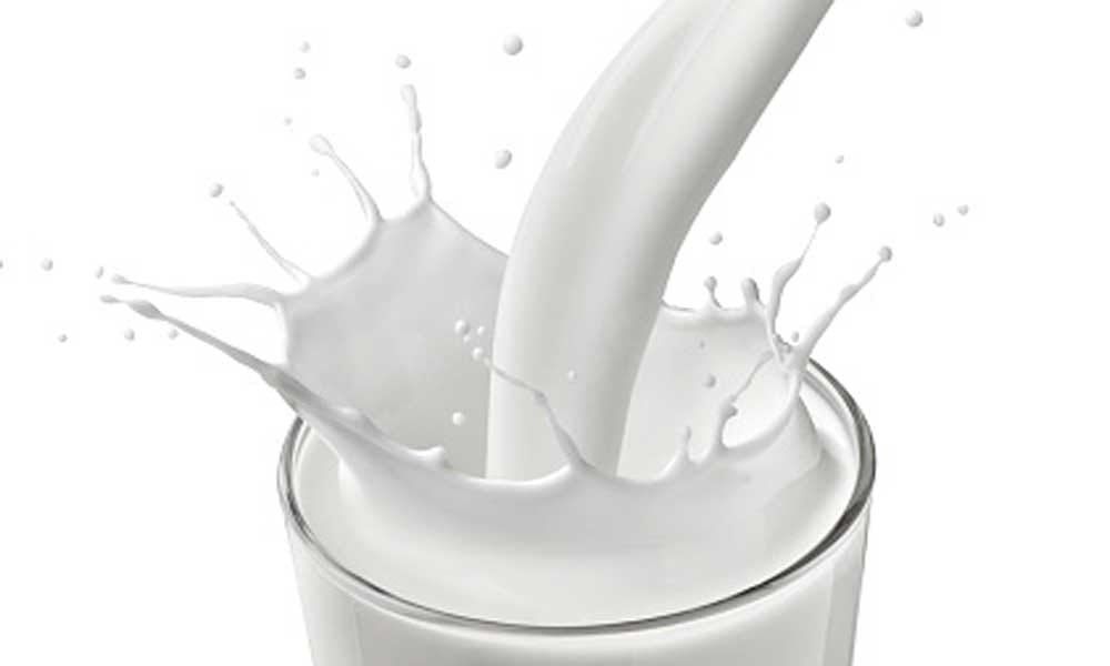 foods to avoid during pregnancy