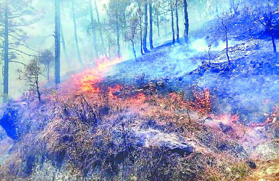 Woman burnt in fire